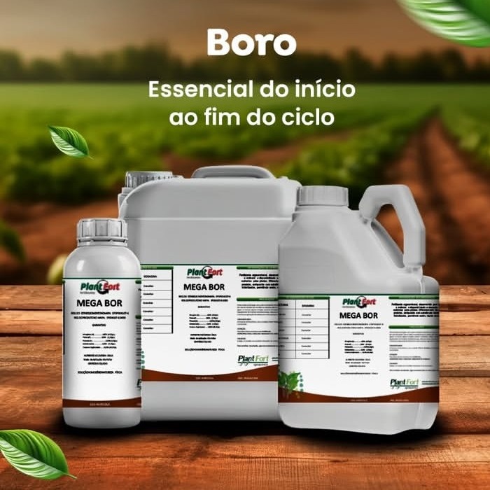 MEGA BOR
